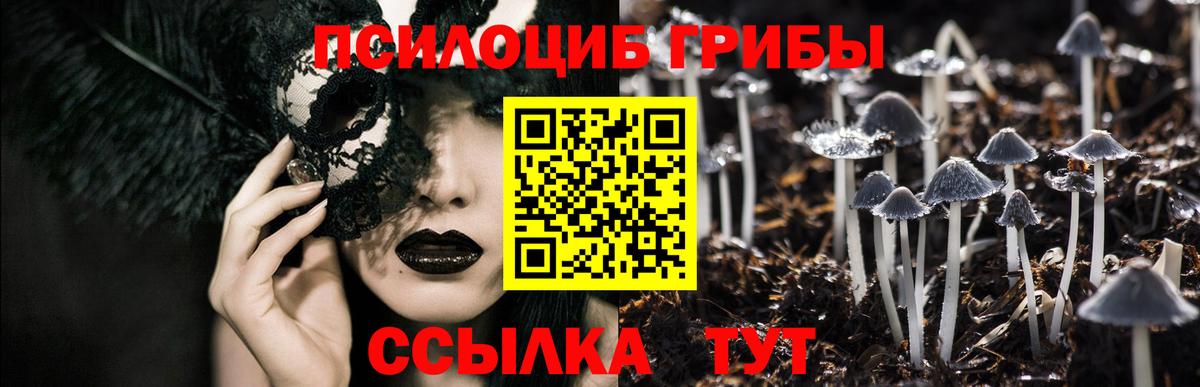 Салехард  Псилоцибиновые грибы Psilocybine cubensis  Вход с VPN 