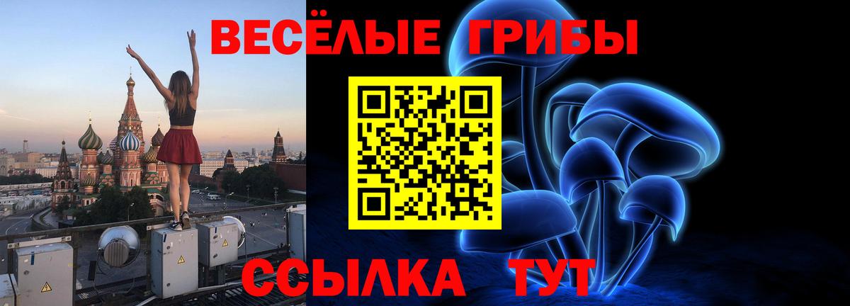Галлюциногенные грибы мухоморы Салехард